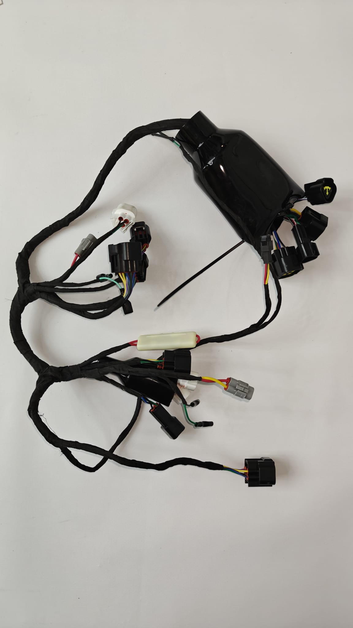 Wiązka przewodów Surron Light Bee X